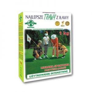 Trawy Z Iławy Trawa Murawa Sportowa Karton 1KG