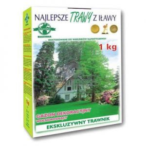Trawy Z Iławy Trawa Gazonowa Dekoracyjna Karton 1KG