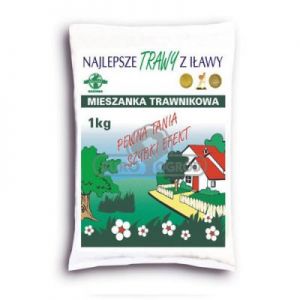 Trawy Z Iławy Trawa Trawnikowa Folia 1KG