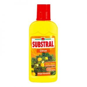 Nawóz Substral Koncentrat Do Cytrusów W Płynie 250ml