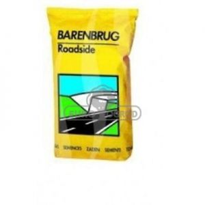 Barenbrug Roadside Trawa Na Pobocza Dróg 25kg RO25