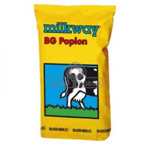 Barenbrug Milkway Poplon Trawa Pastewna 15kg BG-13
