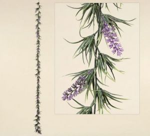 GIRLANDA LAWENDOWA - LAWENDA