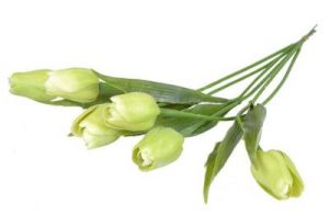 TULIPANY ZIELONE - KWIATY SZTUCZNE