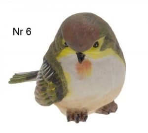 PTASZEK OGRODOWY - 6