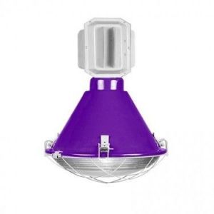 LAMPA SROKA FIOLETOWY