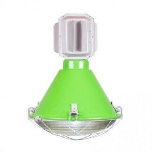 LAMPA SROKA GROSZKOWY