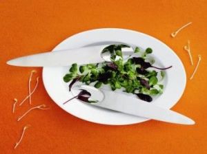 Appetize Zestaw do sałatek